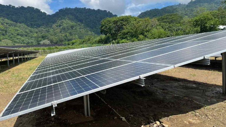 Grupo Argos inaugura nueva megagranja solar en Honduras