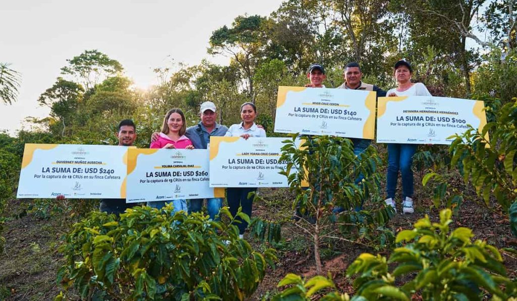 A la fecha, Asómbrate ha entregado más de $2.000 millones a los productores colombianos por capturar carbono. Foto: Solidaridad Network 