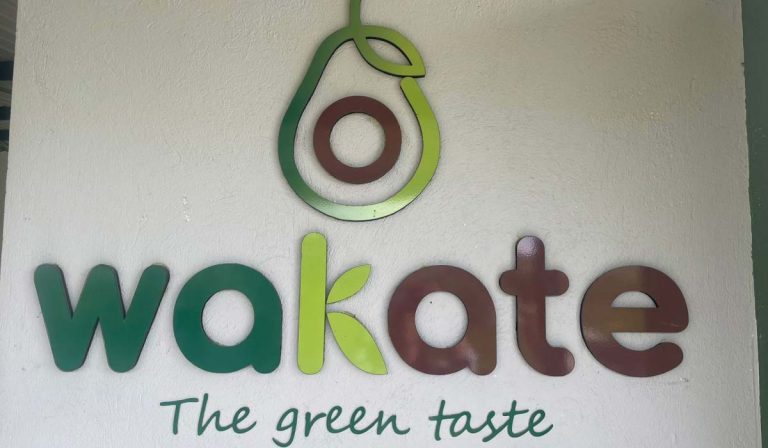 Wakate, empresa que exporta aguacate desde Colombia, busca reforestar el Caldas