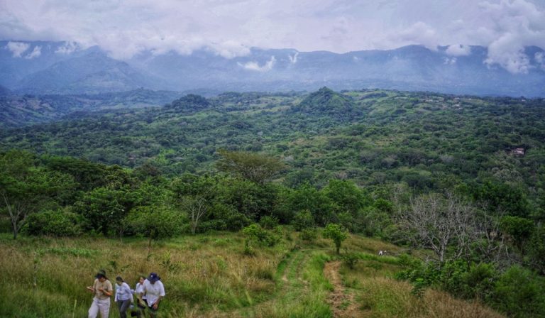 Biosuroeste: el proyecto de Comfama para el desarrollo de Antioquia