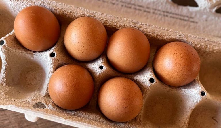 Fenavi desmiente que precio del huevo superaría los $1.300 con alza de ACPM