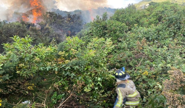 Incendio forestal en cerros orientales de Bogotá, esto se sabe