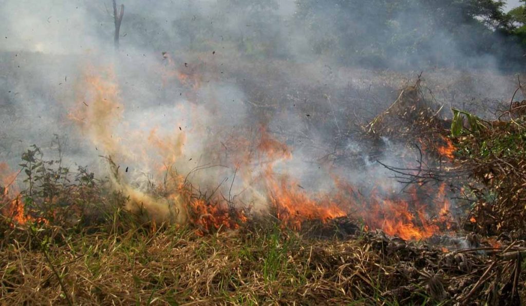 Incendios en Colombia incrementan por el Fenómeno de El Niño.