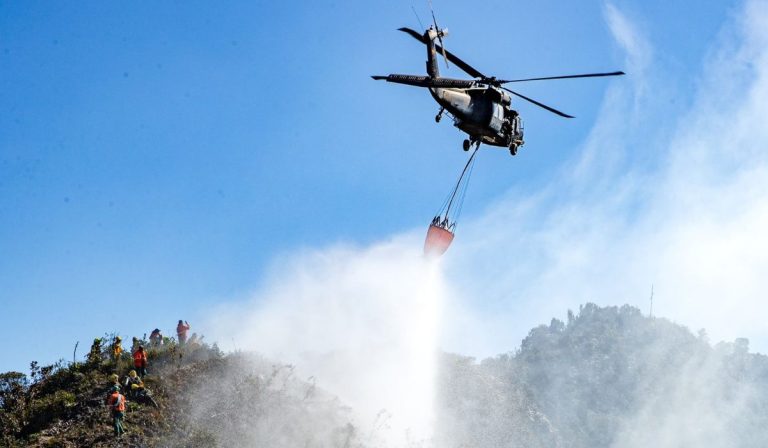 ¿Cuánto vale acabar con un incendio forestal en Colombia?