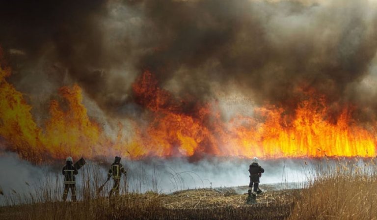 Incendios forestales podrían aumentar un 30 % para 2050