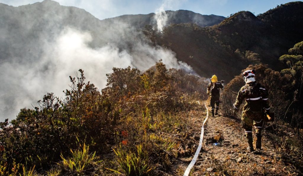 Incendios se intensifican por presencia del Fenómeno de El Niño