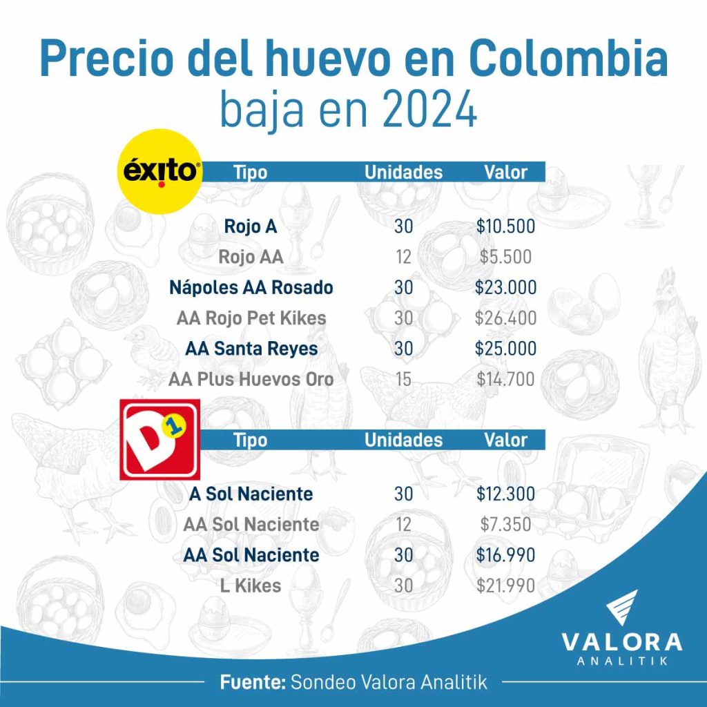 Precio del huevo bajó en Colombia
