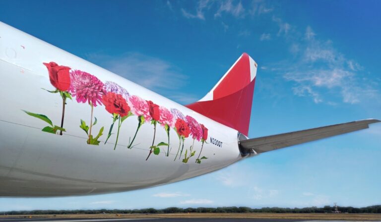 Avianca Cargo transportó 18.000 toneladas de flores en San Valentín y avanza en su nueva flota