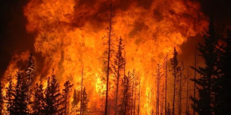 Incendios en Chile ya dejan más de 120 muertos